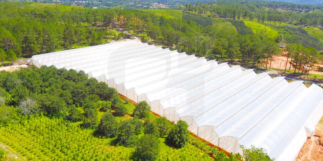 Dự án VinEco Lạc Dương